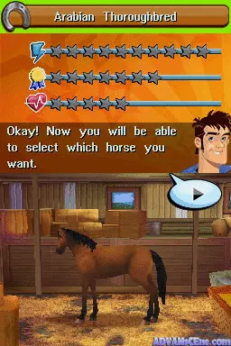 Image n° 3 - screenshots : Imagine - Champion Rider (DSi Enhanced)